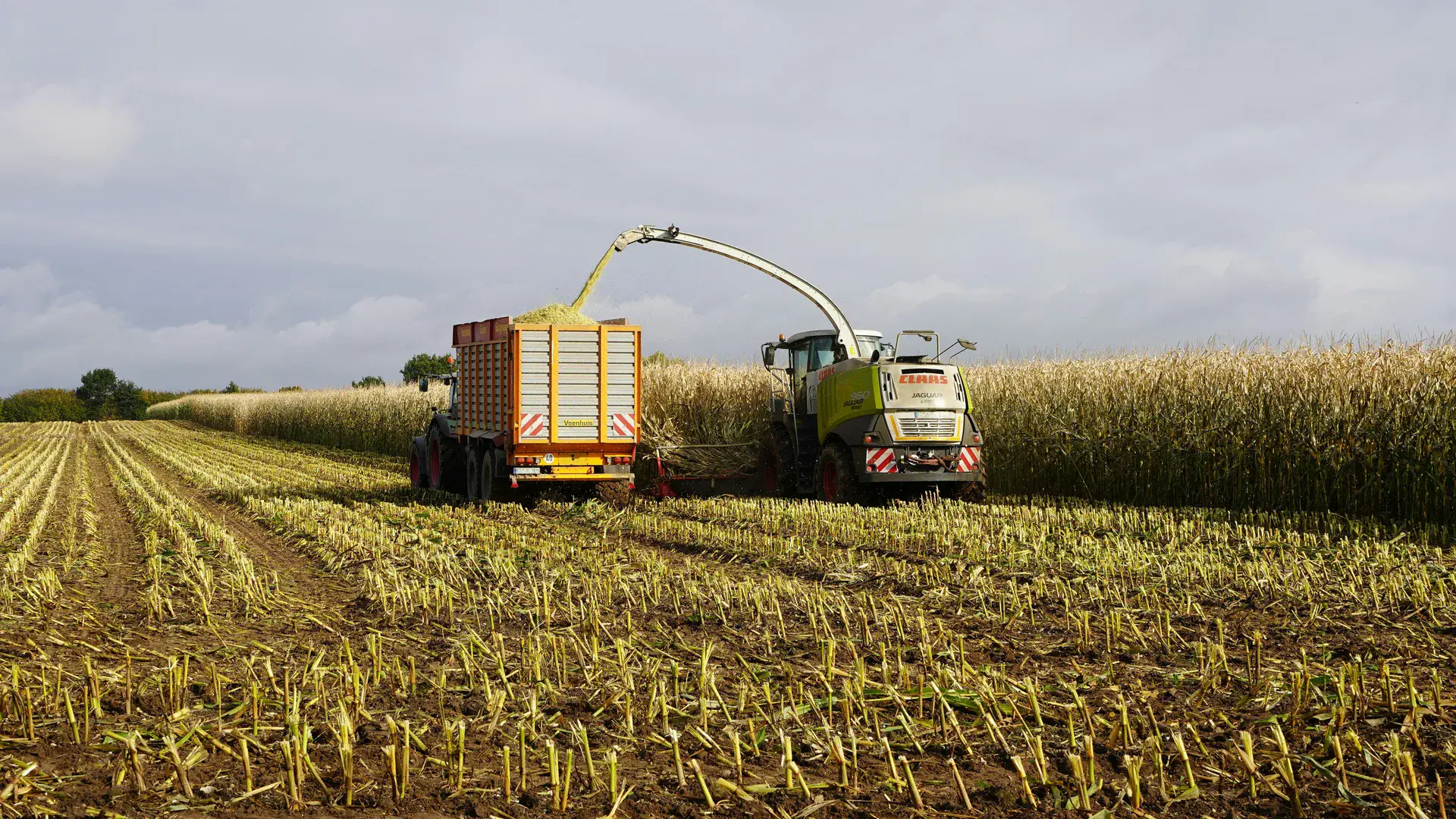Perfis do agronegócio que aceleramos